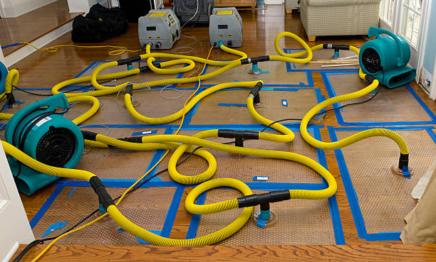 Professional Flood Damage Restoration technician working in Clinton Township, MI